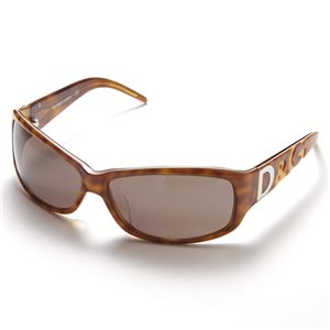 ブランドサングラス 【D&G B】3009A-611/73