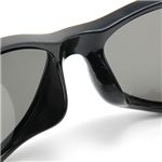 Black Flys�i�u���b�N�t���C�Y�j �Ό������Y �T���O���X FLY DIMENSION-BLACK/SMOKE POLA �摜4