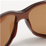 TOM FORD�i�g���t�H�[�h�j �T���O���X 0046-T35 �u���E���~�u���E�� �摜5