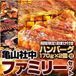 【2012年2月29日まで ハンバーグ2個おまけ付き】亀山社中 ファミリーセット 小