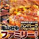 【2012年2月29日まで ハンバーグ2個おまけ付き】亀山社中 ファミリーセット 大