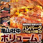 【2012年2月29日まで ハンバーグ2個おまけ付き】亀山社中 焼肉ボリュームセット 2.3kg