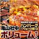 【2012年2月29日まで ハンバーグ2個おまけ付き】亀山社中 焼肉ボリュームセット 5.5kg