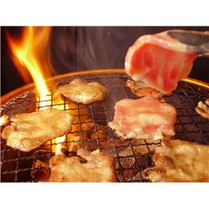 亀山社中 焼肉・BBQファミリーセット 小 2.45kg