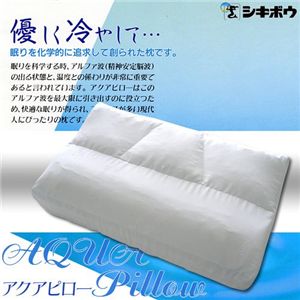 アイスボディネオ「北極枕」