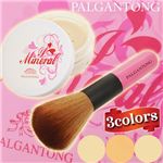 �ѥ륬��ȥ󡡥����ߥͥ������ѥ֥饷���åȡ��ߥͥ��饤��