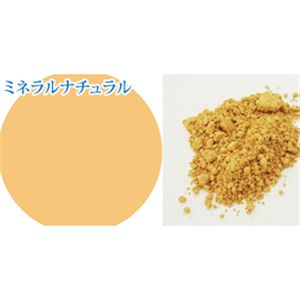 パルガントン　アイミネラル＆専用ブラシセット　ミネラルナチュラル