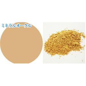 パルガントン　アイミネラル＆専用ブラシセット　ミネラルオークル