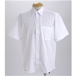 ブラック&ホワイト ワイシャツ2枚セット 半袖M 【2点お得セット】