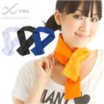 �uCW-X�v�T�[�����C�g�l�b�N�N�[���[ �I�����W