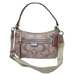 COACH（コーチ） F23946 SIGGD デイジー メタリック 2WAYバッグ