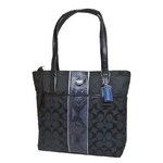 COACH(コーチ)F25706 SLCBK シグネチャーストライプ トートバッグ パイソン