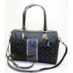 COACH(コーチ)F24884 SLCBK シグネチャーストライプ パイソン 2WAYボストンバッグ