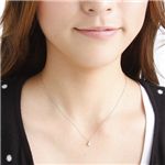 ���v���`�iPT1000/0.2ct�_�C�������h�y���_���g �摜4