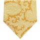 VERSACE (ヴェルサーチ) ネクタイ N-VER-A00333 Orange系