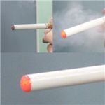 dq΂ ECO Smoker(GRX[J[j 摜4