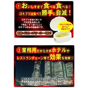 ゴキちゃんグッバイ！6個入り