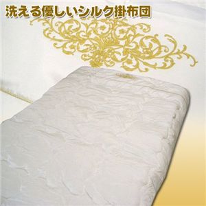 �􂦂� �D�����V���N���@�|�z�c�@�V���O��