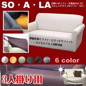 �y3�l�p�z�s�b�^���t�B�b�g �\�t�@�J�o�[�@�C�G���[