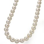 ������^�� �o���b�N������ ���8mm �p�[���l�b�N���X �摜2