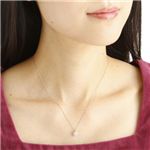 ���v���`�i�iPT1000�j�嗱0.5ct �_�C���ꗱ�΃y���_���g�i�l�b�N���X�jFMPTM176 40cm �摜5