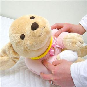 【限定生産】「犬と私の10約束」ソックスの抱き枕