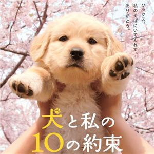 【限定生産】「犬と私の10約束」ソックスの抱き枕