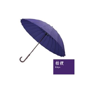マブワールド 超軽量24骨傘 眩 桔梗