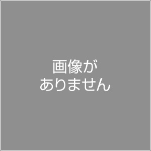 CASIO（カシオ） 大型電波壁掛け時計　IC-4100J-9JF