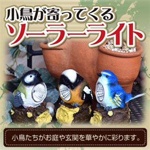 小鳥が寄ってくるソーラーライト 3個組セット