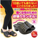 洗えるコンフォートサンダル L（24.0〜24.5cm）