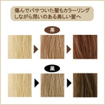 �w�i�ƒւ̃w�A�p�b�N �u���E�� �摜3