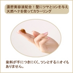 �w�i�ƒւ̃w�A�p�b�N �u���E�� �摜5