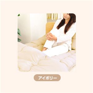 ピーチスキン加工 寝具3点 シングル【フローリング・床用】 アイボリーの商品画像