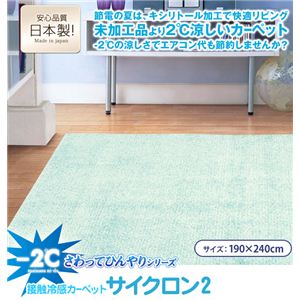 さわってひんやり接触冷感カーペット サイクロン2 190×240cm クールグリー - 拡大画像