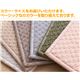 日本製 防汚・防ダニカーペット ニューアスワールド 200×200cm 正方形 ベージュ - 縮小画像2