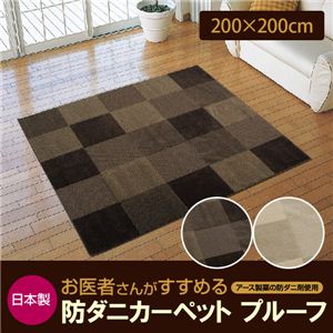 日本製 お医者さんがすすめる防ダニカーペット プルーフ 200×200cm ブラウン