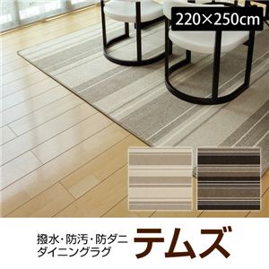 撥水・防汚・防ダニ・ダイニングラグ テムズ（151101531K422）（NB） 220×250cm ブラウン