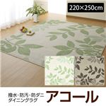 撥水・防汚・防ダニ・ダイニングラグ アコール（151101558K403）（NB） 220×250cm グリーン