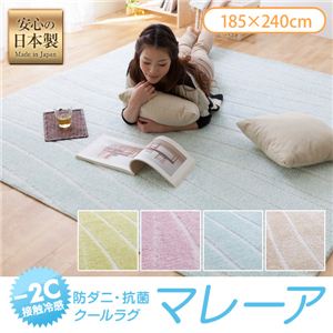 接触冷感-2℃・防ダニ・抗菌 クールラグ マレーア（AW） 185×240cm ミント - 拡大画像