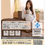 <img src=