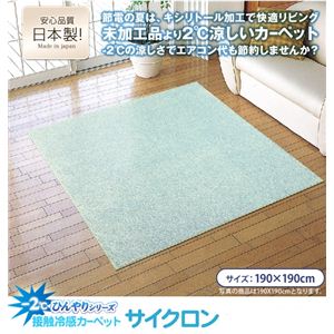 マイナス2℃ひんやりシリーズ 接触冷感カーペット サイクロン 190×190cm シルバー - 拡大画像