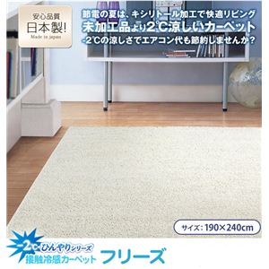 マイナス2℃ひんやりシリーズ 接触冷感カーペット フリーズ 190×240cm ピーコックブルー(416105)