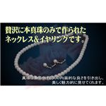 アコヤ真珠 パールネックレス・パールイヤリング セット 【本真珠】