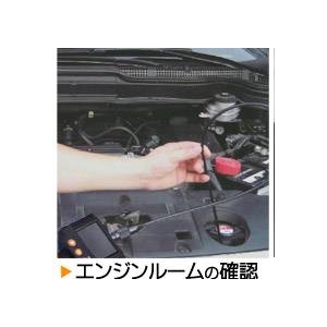 液晶付きフレキシブルファイバースコープ