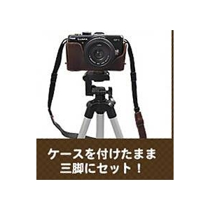 ڥǥᥱۥѥʥ˥å ߥå DMC-GF1ѡ֥å쥶ס5