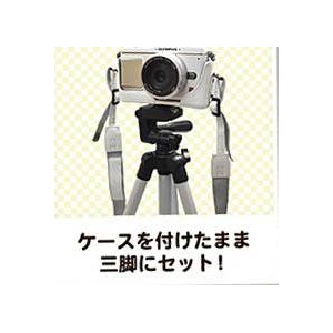 ڥǥᥱۥѥ ڥE-P1/E-P2ѡۥ磻ȥ쥶ȥåײ3