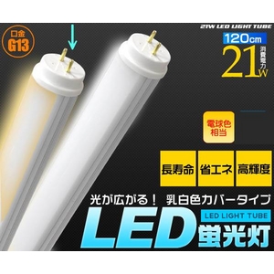 LED蛍光灯電球色（暖色） 乳白色カバータイプ 120cm 【4本セット】