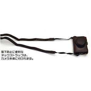 Panasonicʥѥʥ˥å LUMIX GF3 ѥ󥱡ѥ饱 ȥå 쥶ۥ磻Ȳ2