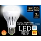 3WLED電球 口金E26型 白色相当30W 【10個セット】